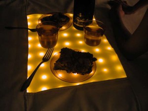 LED Picnic Blanket