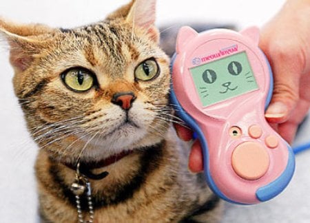 Meowlingual Cat Translation Device