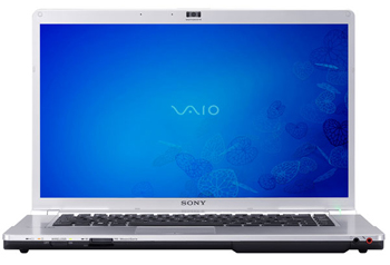 Sony VAIO FW Notebook