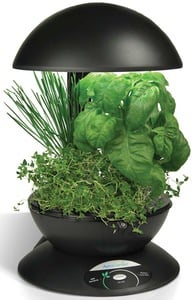 Aerogarden 3