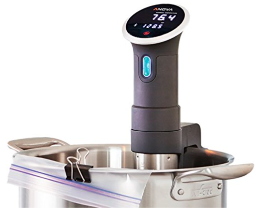 Anova Precision sous vide