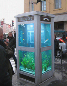 Phone Booth Aquarium