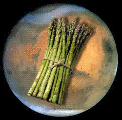 Asparagus on Mars