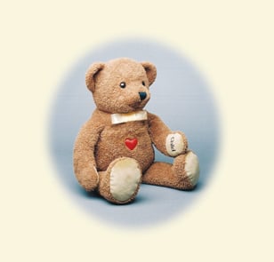 CPR Teddy