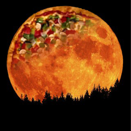 Domino's on the Moon