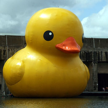 Rubber Duck