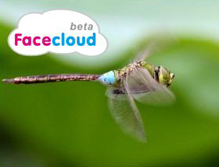 Facecloud logo