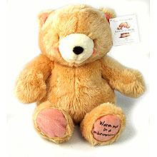 FF Teddy Bear
