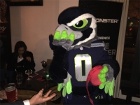 Blitz the Seahawk steals the raffle tickets