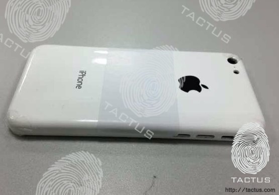 Budget iPhone rear shell rumor