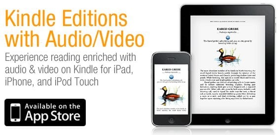 Kindle Editions iPad iPhone