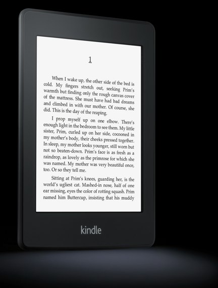 Amazon Kindle Paperwhite angled