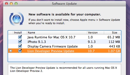 Lion developer preview 3