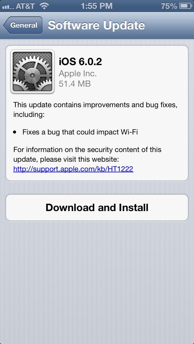 iOS 6.0.2