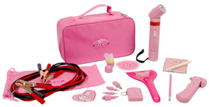 Pink Car Kit