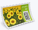 Custom Postage