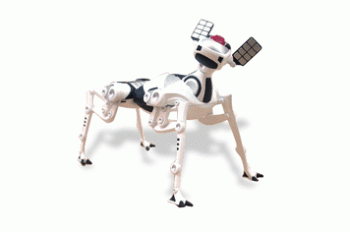 Robopet On Sale