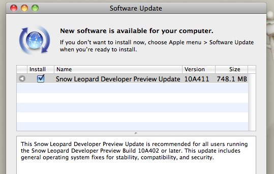 Snow Leopard 10A411