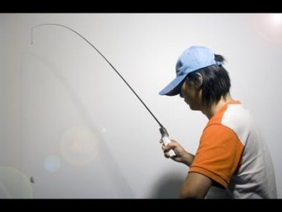 Wii Fishing Pole