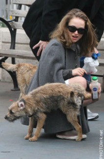 Natalie Portman, dog