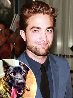 Robert Pattinson with his dog, Bear, inset