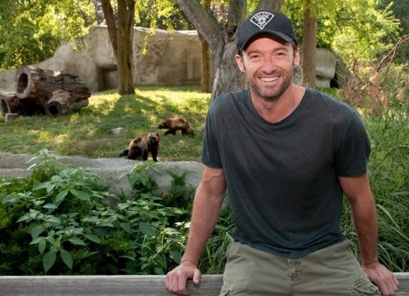 Hugh Jackman with wolverines