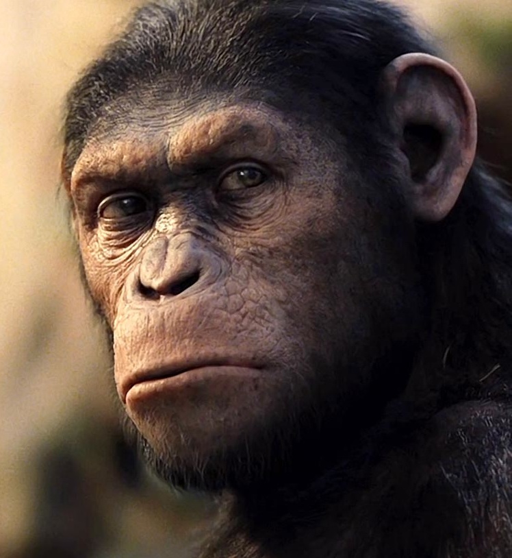 Rise Of The Planet Of The Apes / Caesar