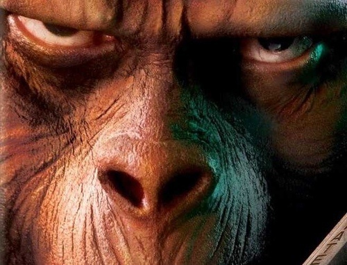 Rise Of The Planet Of The Apes