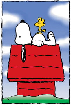 Snoopy's Doghouse