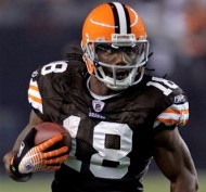 Donte Stallworth