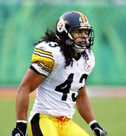 Troy Polamalu named AP Defensive Player of the Year