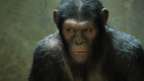 Andy Serkis in Rise of Planet of the Apes