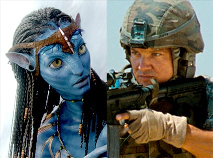 Avatar and The Hurt Locker