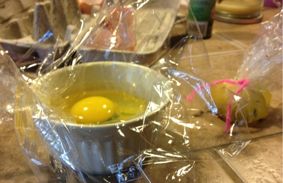 Sous vide eggs ramekin