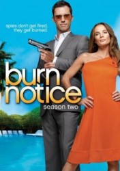 Burn Notice Season 2 DVD