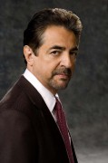 Joe Mantegna, Criminal Minds