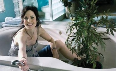 Weeds' Mary Louise Parker