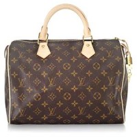 Louis Vuitton Speedy Handbag